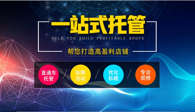 揭秘站群程序：一场网络营销的新革命