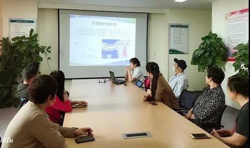 站群软件助力网络营销：多网站协同效应